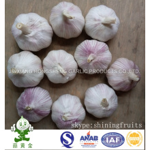 Chinesische normale weiße Knoblauch neue Ernte 2016 Knoblauch